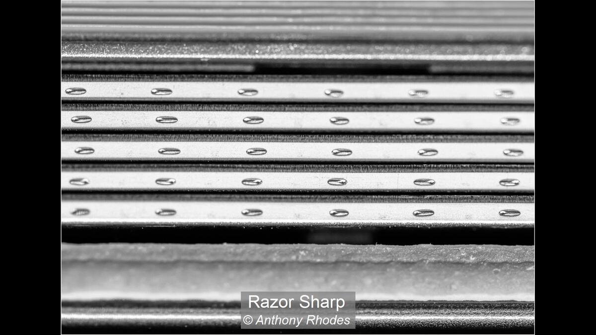 20_Razor Sharp_Anthony Rhodes